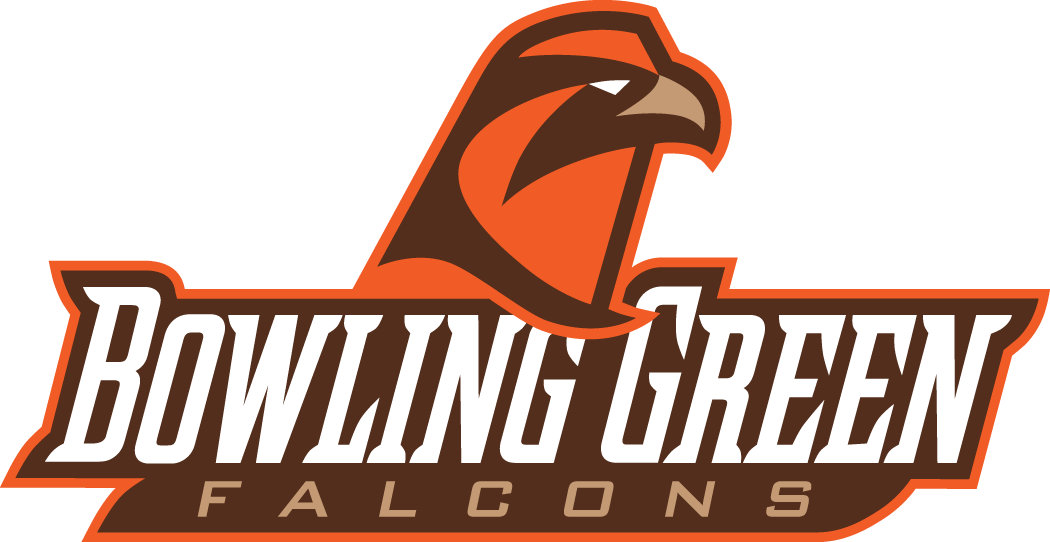 Bowling Green Falcons 2006-Pres Alternate Logo v3 iron on transfers for fabric